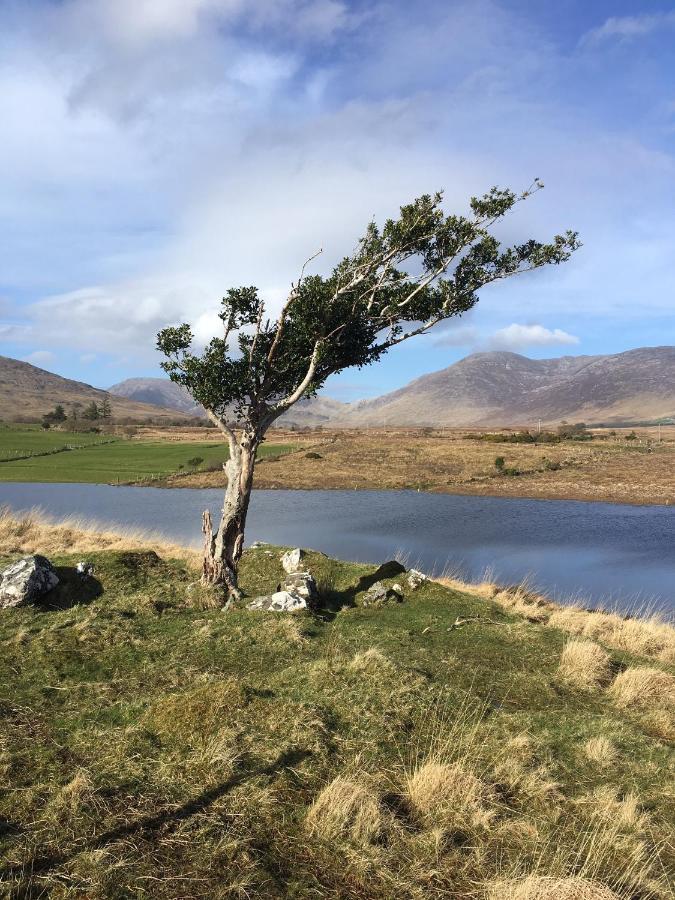 Railway View - Connemara Bed & Breakfast Recess Bagian luar foto